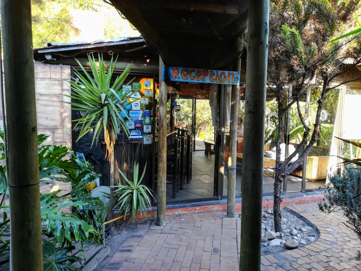 Saltycrax Backpackers And Surf Hostel By Curiocity Bloubergstrand Exterior photo